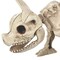 Pig Skeleton Farmyard Halloween Decoration for Spooky Party Displays